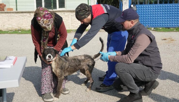 Düzce Belediyesi’nden Sokak Hayvanlarına ”Yerinde Sahiplendirme” Uygulaması