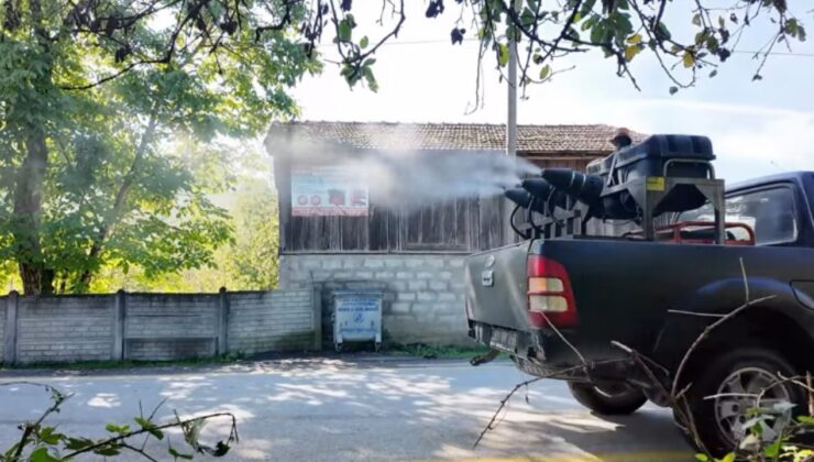 Düzce’de Kahverengi Kokarcaya Karşı Kışlık Mücadele Başladı
