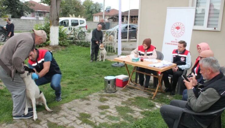 Düzce’de 13 Binden Fazla Kedi ve Köpek Mikroçip ile Kayıt Altına Alındı
