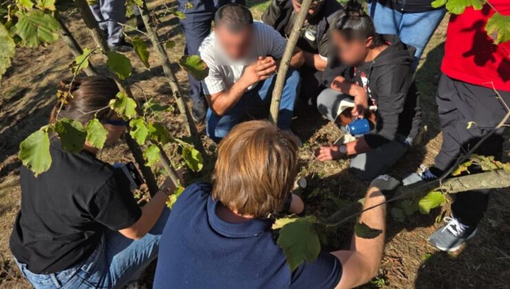 ”Bir Adım Tarıma, Bir Adım Hayata” Projesiyle Fındıkta Eğitim Sona Erdi