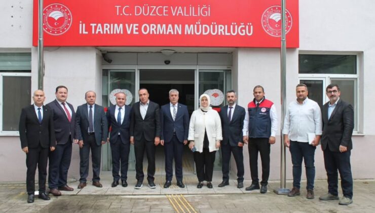 Düzce’de Kahverengi Kokarca Mücadelesi Masaya Yatırıldı; 2026 Sezonu Planlandı