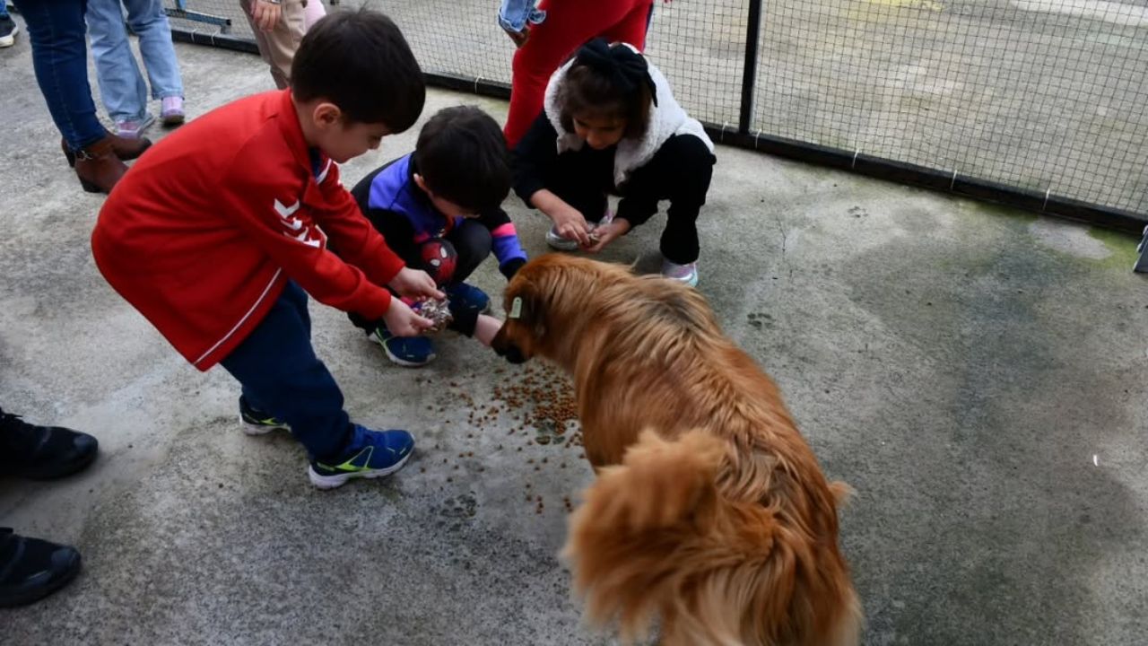 Akçakoca’da Miniklerden Barınak Ziyareti