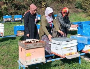 Çukurören Köyünde 2025 Arılı Kovan Sayımı Yapıldı
