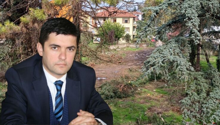 Uzun Mustafa Mahallesi’nde Ağaçlar Kesiliyor; Yunus Özay Er’den Başkan Özlü’ye Çağrı