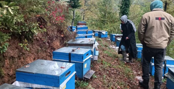 Yığılca’da 2025 Arılı Kovan Sayımı Tamamlandı