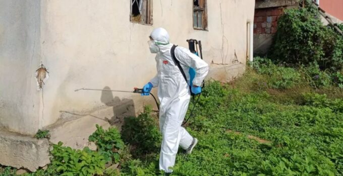 Yığılca Gelenöz Köyü’nde Kahverengi Kokarca ile Kışlak Mücadelesi Gerçekleştirildi