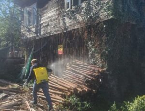 Akçakoca’da Kış Öncesi Kahverengi Kokarcaya Karşı İlaçlama Başladı