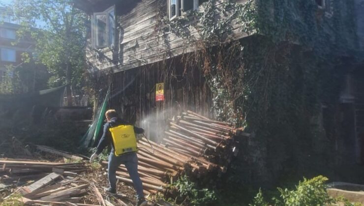Akçakoca’da Kış Öncesi Kahverengi Kokarcaya Karşı İlaçlama Başladı