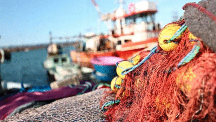 Akçakoca Sahilleri Balıkçılarla Şenlendi