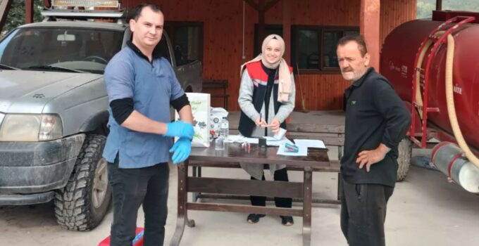 Yığılca’da Kedi ve Köpeklere Kimliklendirme Uygulaması Yapıldı