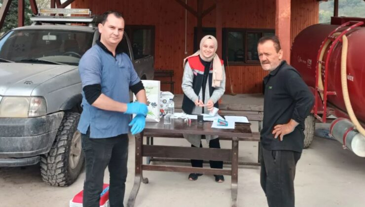 Yığılca’da Kedi ve Köpeklere Kimliklendirme Uygulaması Yapıldı