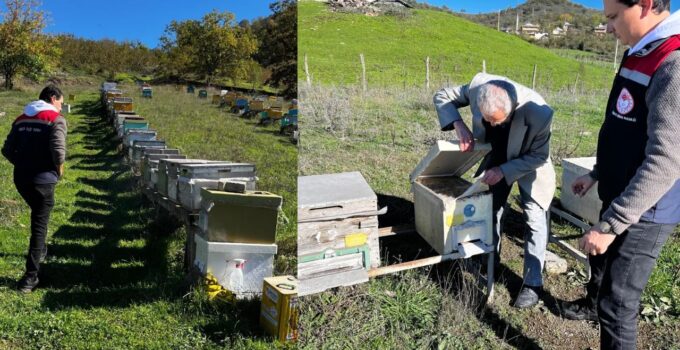 Yığılca’da 2025 Yılı Arılı Kovan Sayımı Tamamlandı