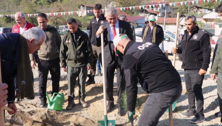 Geleceğe Nefes, Akçakoca’ya Umut Fidanlar Toprakla Buluştu