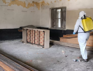 Yığılca’da Kahverengi Kokarca ile Kışlak Mücadelesi Başlatıldı