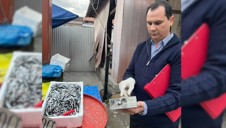 Yığılca’da Balık Satış Noktalarına Sıkı Denetim