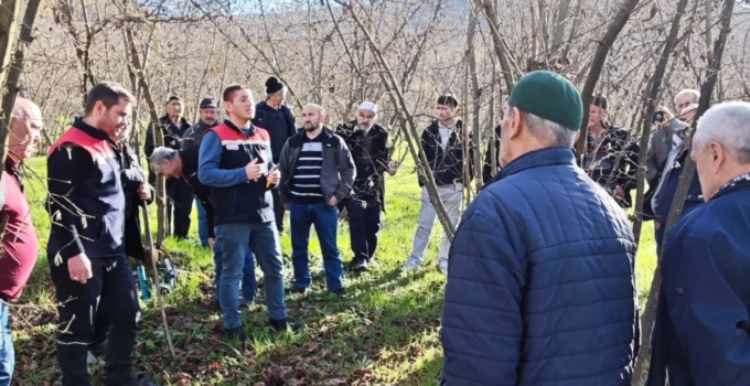Çukurören Köyü’nde Üreticiye Yerinde Tarım Eğitimi