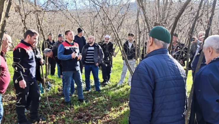 Çukurören Köyü’nde Üreticiye Yerinde Tarım Eğitimi