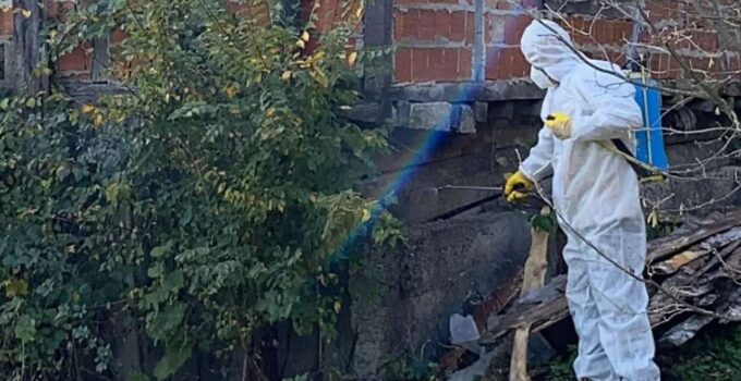 Mengen Köyü’nde Kahverengi Kokarca ile Kışlak Mücadelesi Yapıldı