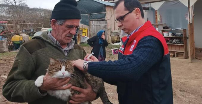 Yığılca İlçe Tarım Sahada: Hayvan Sağlığı İçin Çalışmalar Sürüyor