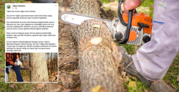 Yığılca’da İzinsiz Ağaç Kesim İddiası!
