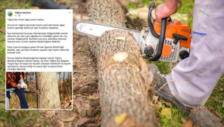 Yığılca’da İzinsiz Ağaç Kesim İddiası!