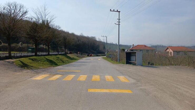 Sarıdere’de Yaya Geçidi ve Kasis Çizgileri Yenilendi