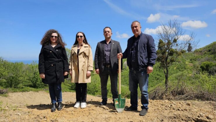 Akçakoca’da Fındığa Alternatif: Yaban Mersini Projesi Başlatıldı