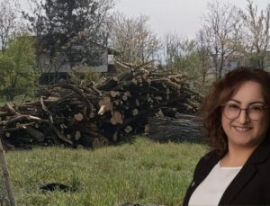 İYİ Parti Düzce’den Sit Alanı Tepkisi: “Süreci Takip Edeceğiz”